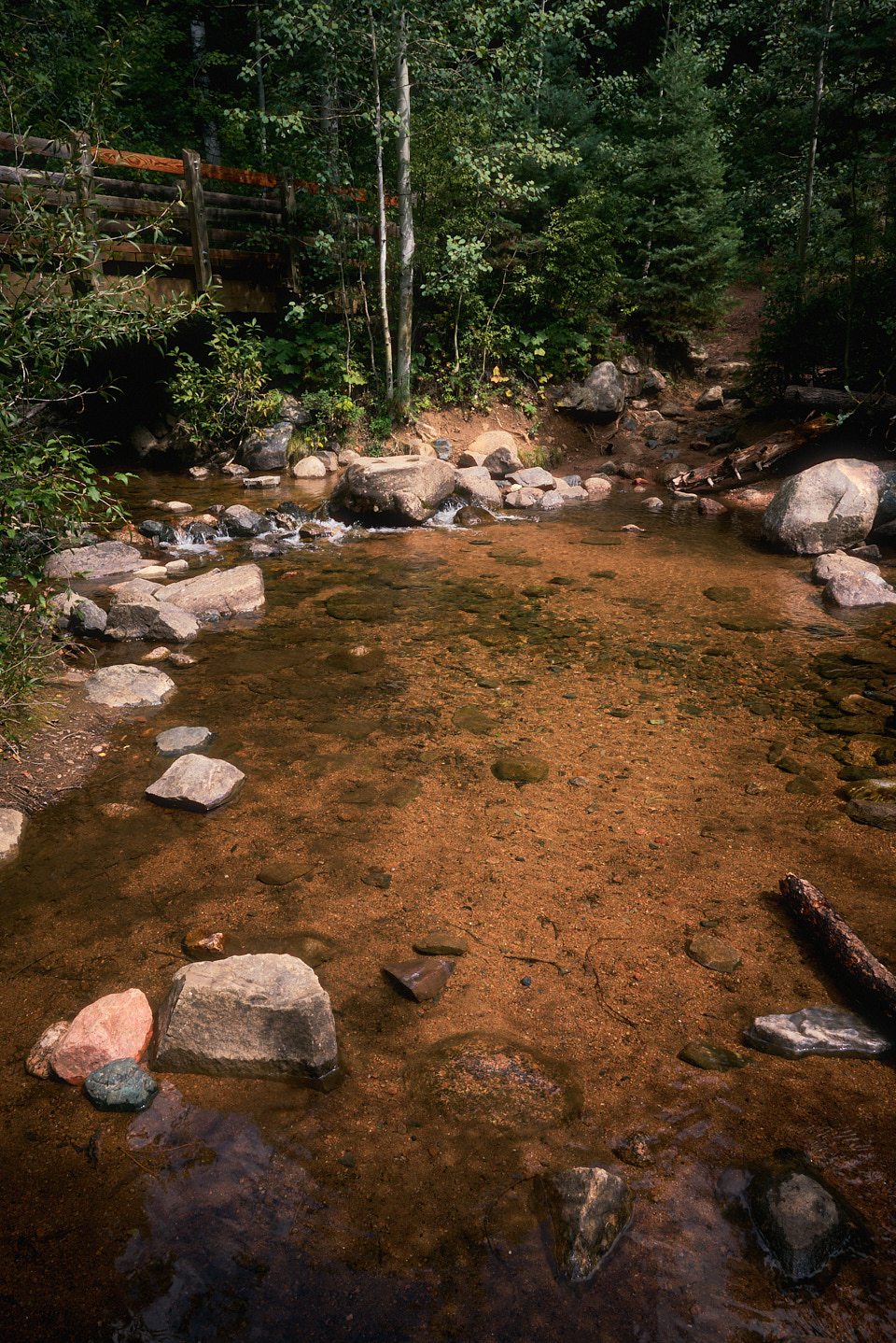 Alongside the bridge over Fall Creek, which feeds into Vallecito Creek.