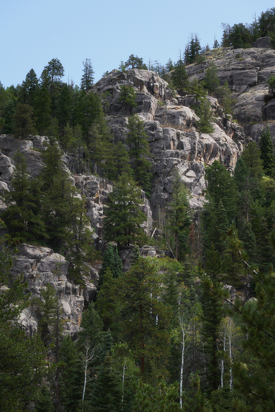 The impressive gray granite cliffs that line the east side of Vallecito Creek.