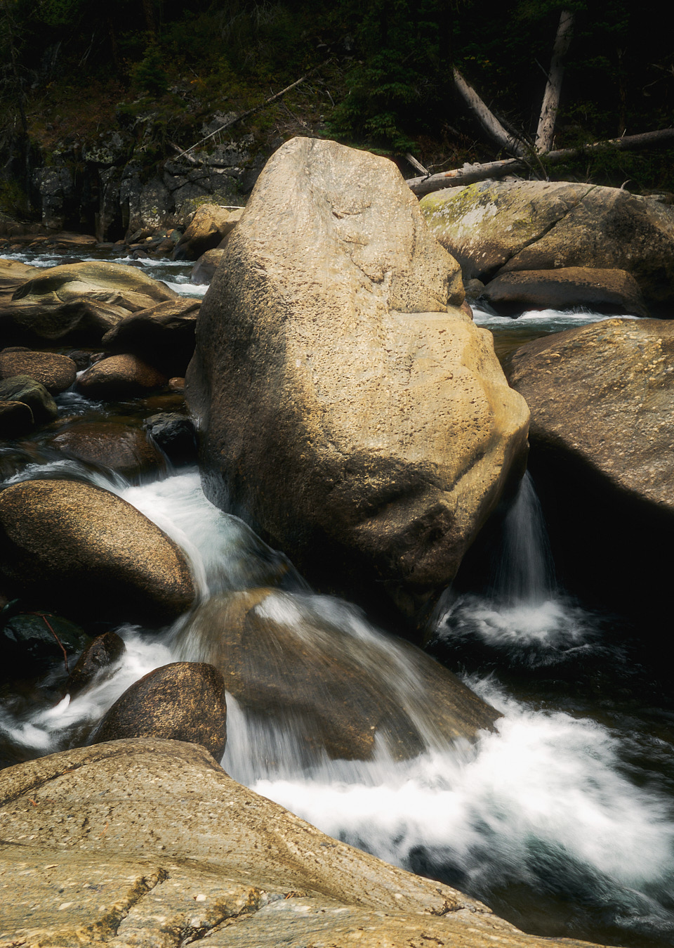 A large boulder in Vallecito Creek.